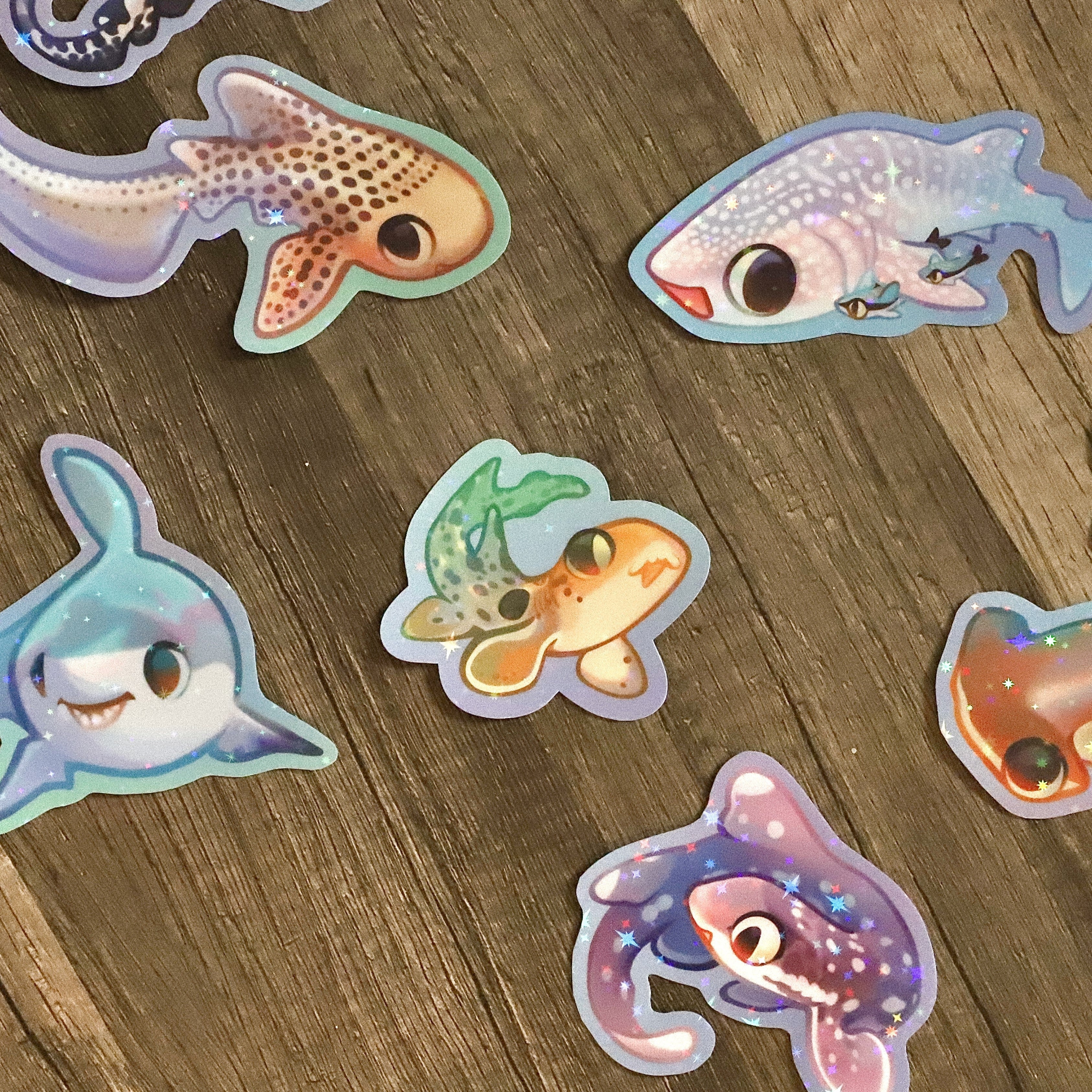 Shark Merch
