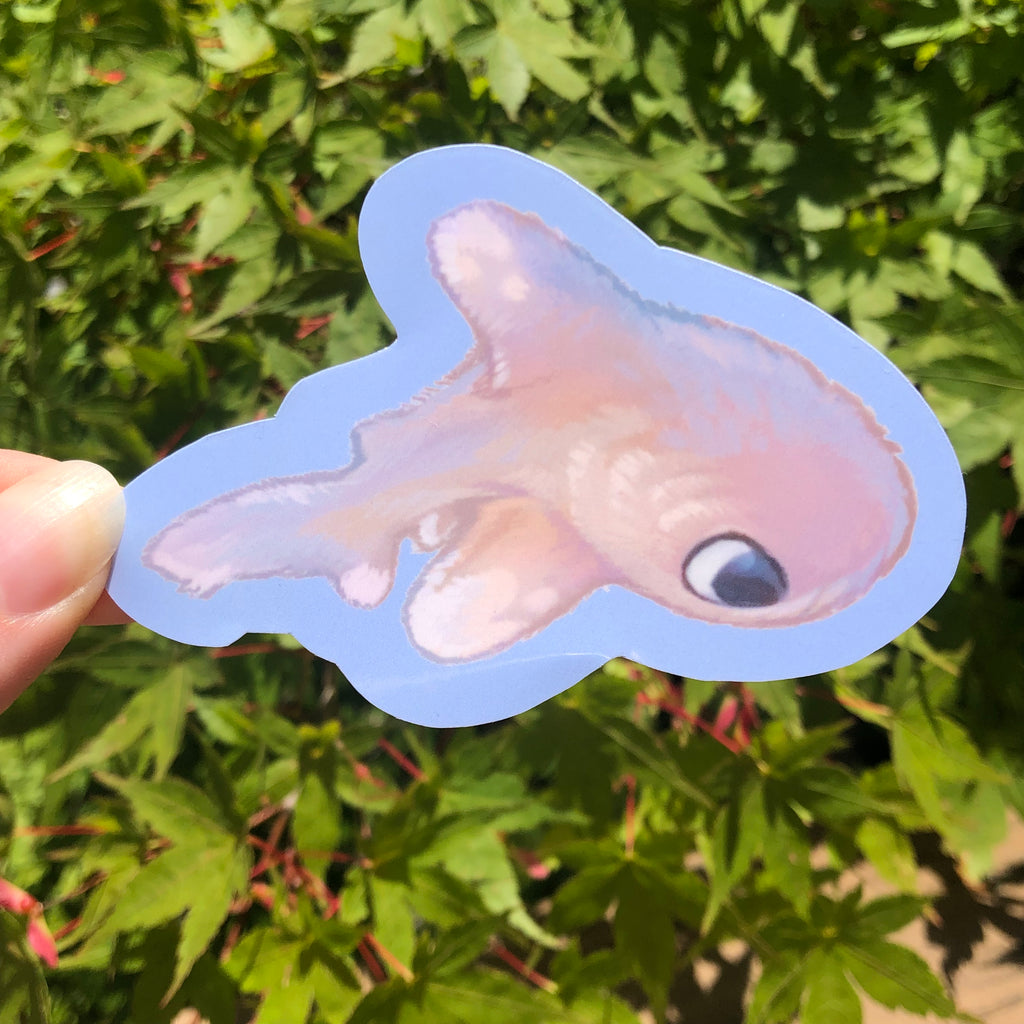 Fuzzy Oceanic Whitetip Shark (Glossy)