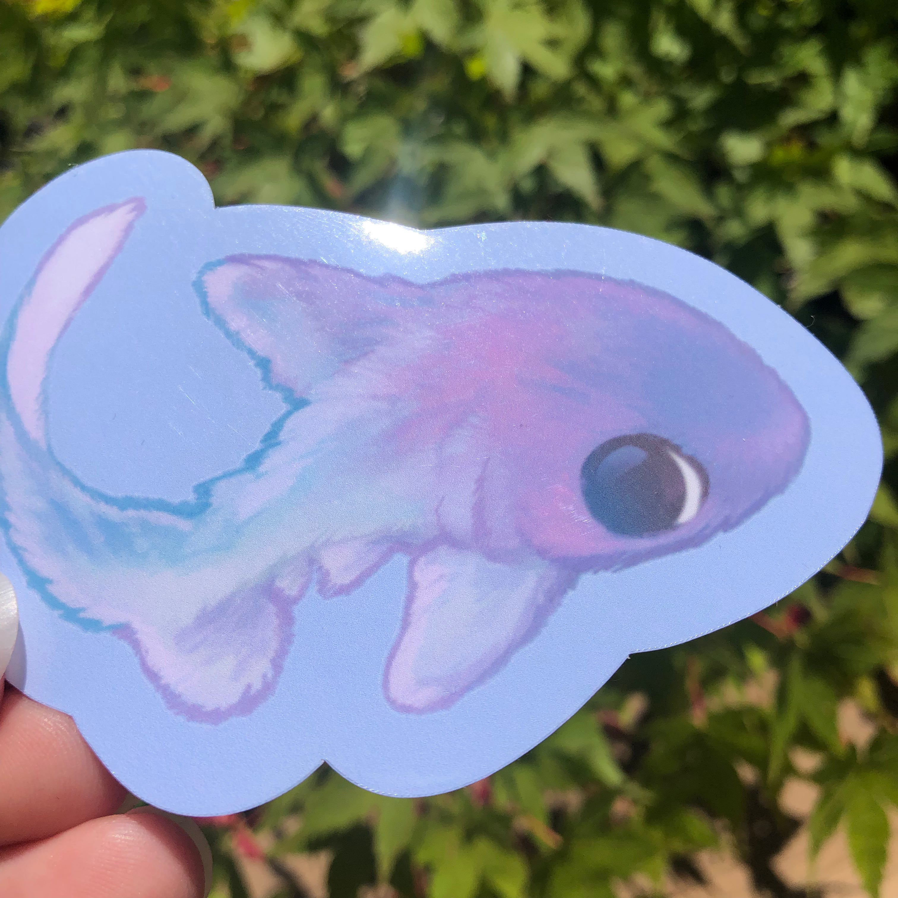 Fuzzy Thresher Shark Sticker (Glossy)