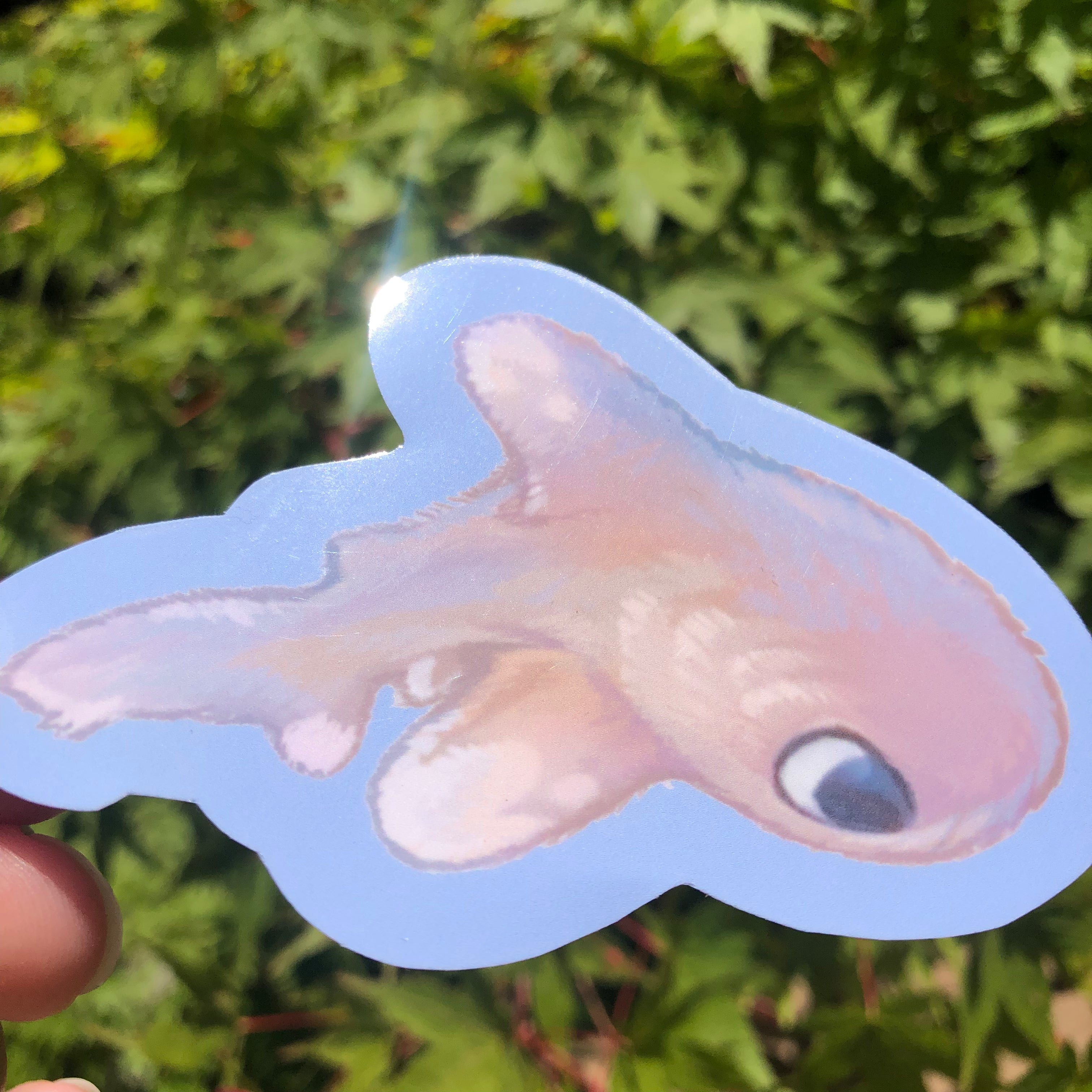Fuzzy Oceanic Whitetip Shark (Glossy)