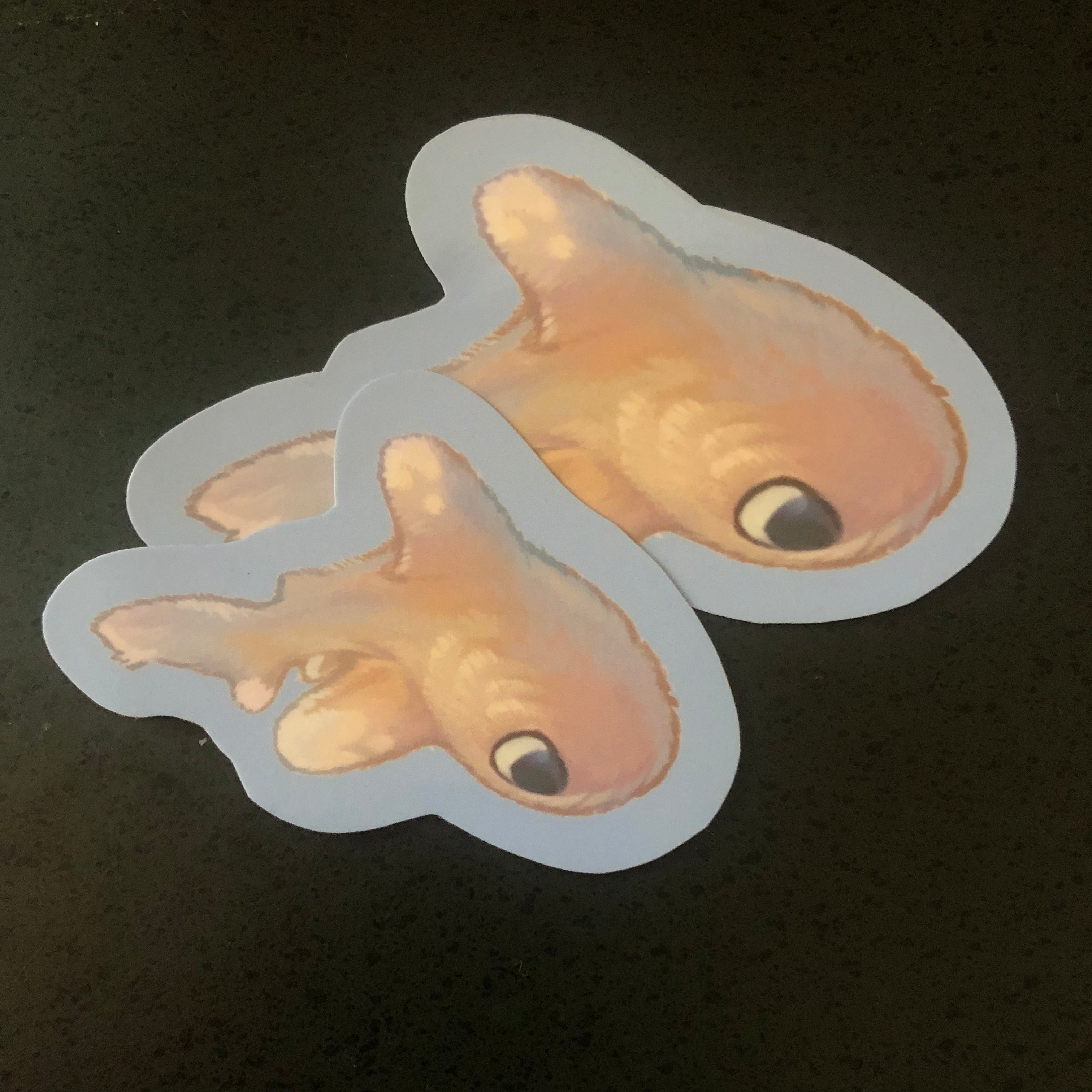 Fuzzy Oceanic Whitetip Shark (Glossy)