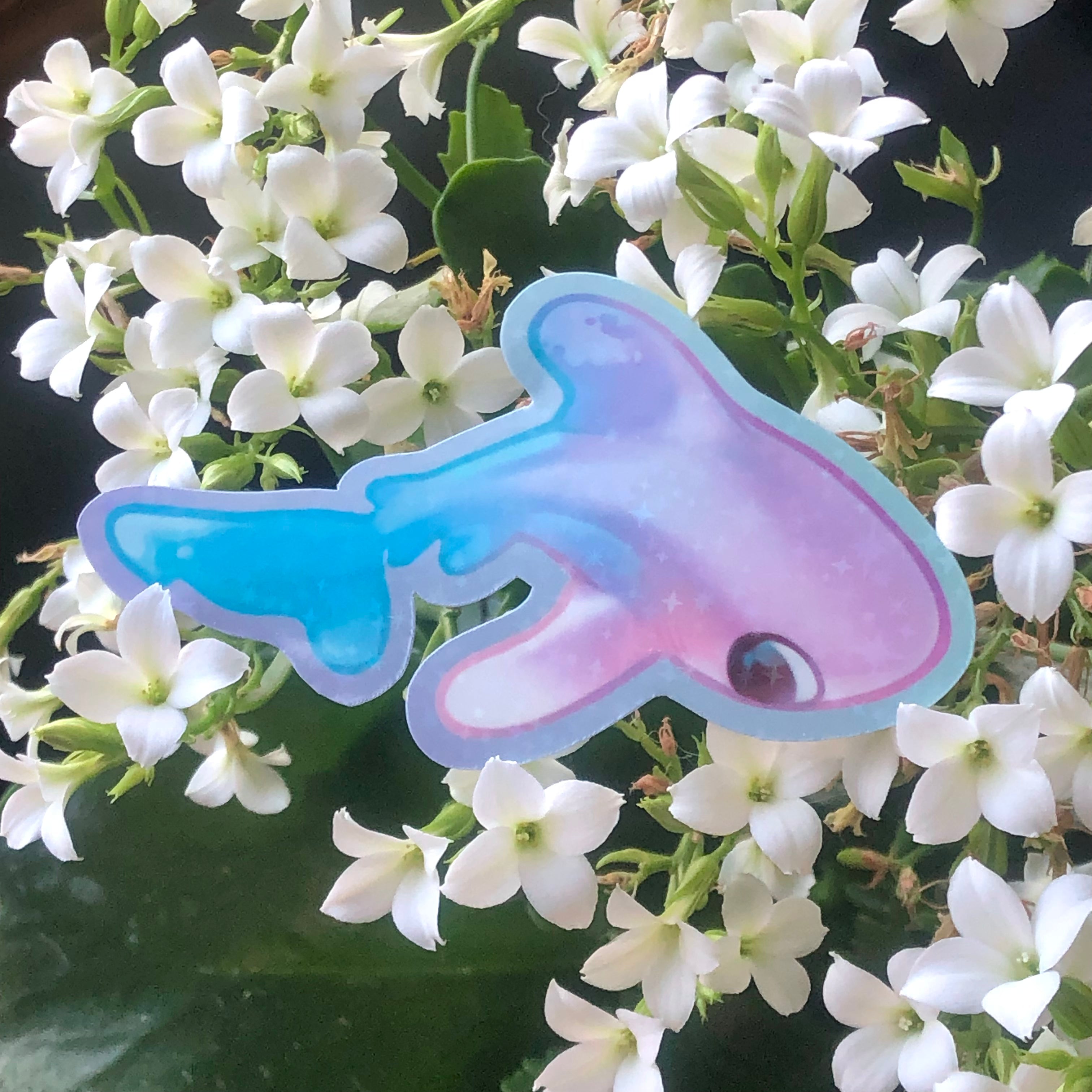 Oceanic White Tip Shark Sticker (Holographic)