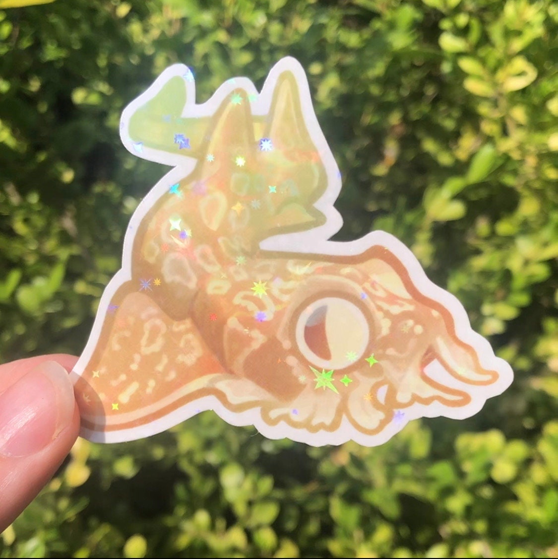 Wobbegong Shark Sticker (Holographic)