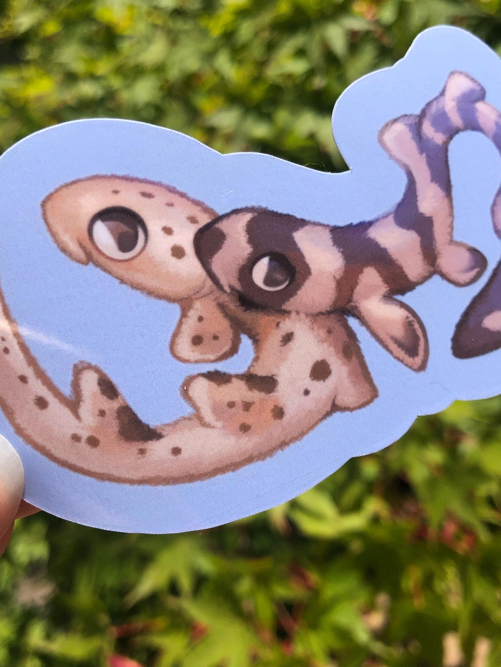 Fuzzy Epaulette and Bamboo Shark Stickers (Glossy)