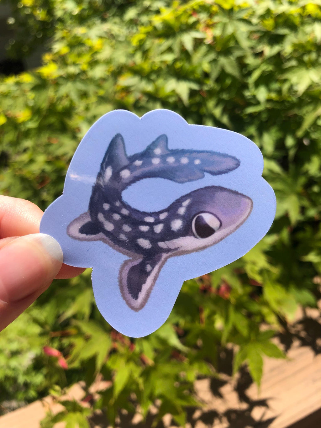 Fuzzy Coral Catshark Stickers (Glossy)